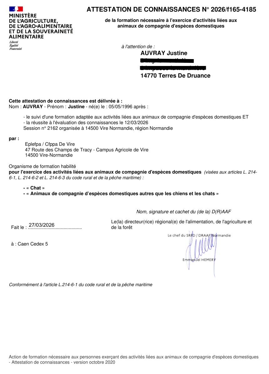 attestation ACACED chat et autres